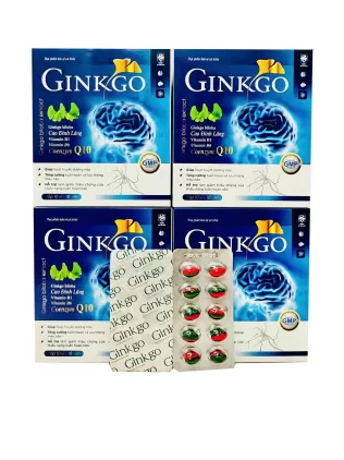 Ginkgo Biloba Extra Coenzym Q10
